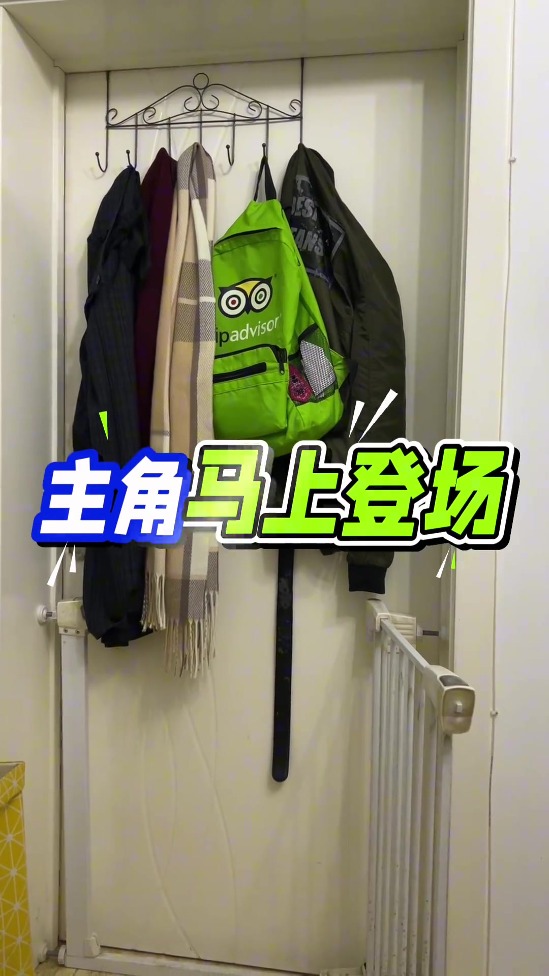 png电子网站太硬核😮70岁老太每天玩四小时魔兽世界：就是为了快乐 调解一下生活