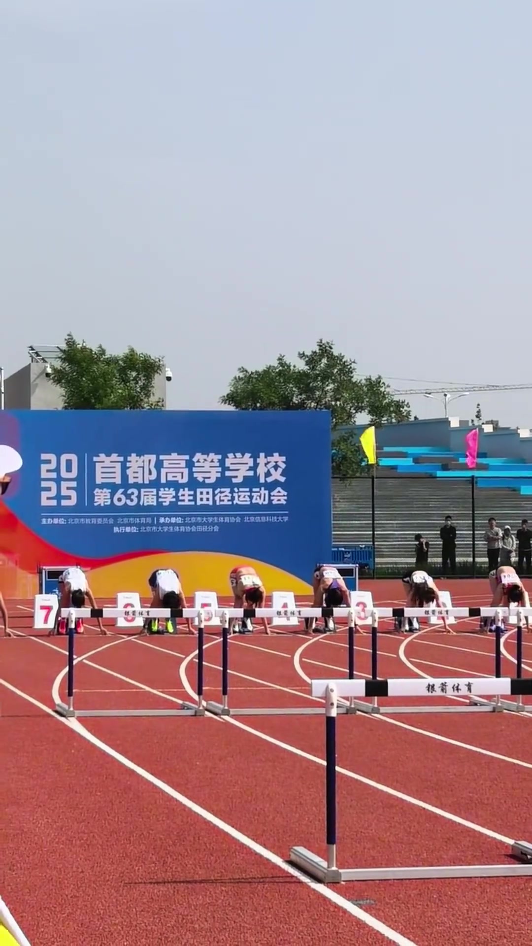 png电子平台13